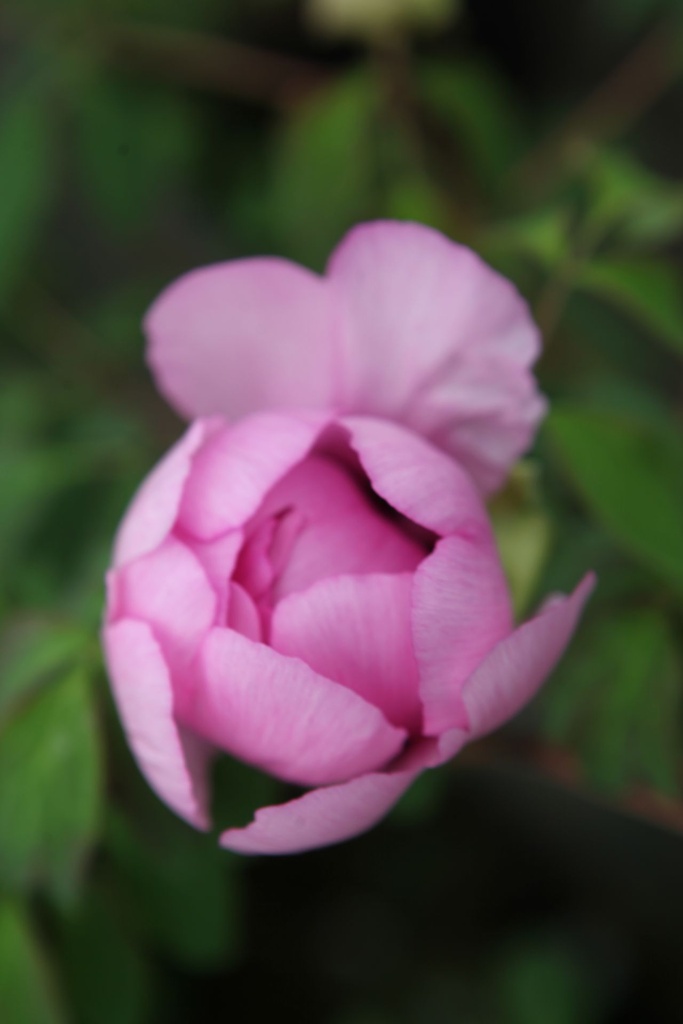 PARYDCQI_20250416141918.JPG