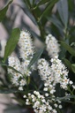 PRLOLUYK_20250416102645.JPG