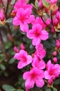 RHCONNY_20250416163736.JPG