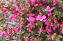 RHCONNY_20250416163751.JPG