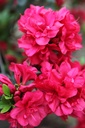 RHMOEDER_20250416094306.JPG
