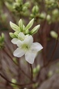 RHPALEST_20250416163945.JPG