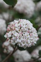 VICARLCE_20250416095346.JPG