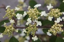 VIPMARIE_20250416110451.JPG