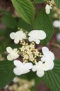 VIPMARIE_20250416110457.JPG