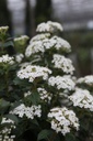 VITEPRIC_20250416095005.JPG
