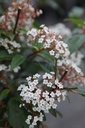 VITSPIRI_20250416084841.JPG
