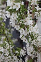 MASTYME_20250416135621.JPG