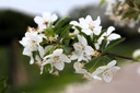 MASTYME_20250416132906.JPG