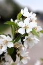MASTYME_20250416132856.JPG