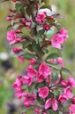MAPRAIRI_20250416135727.JPG