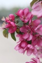 MAIMAGIC_20250416133107.JPG