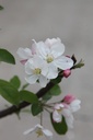 MAEVERES_20250416133357.JPG