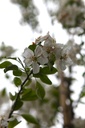 MAEVERES_20250416092824.JPG