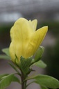 MADAPHNE_20250416100540.JPG