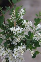 EXBRIDE_20250416102016.JPG