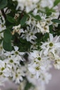 EXBRIDE_20250416101652.JPG