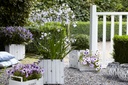 AGATWIST_20170824141956.jpg