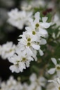 EXBRIDE_20250417142720.JPG