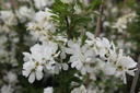 EXBRIDE_20250417142749.JPG