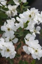 EXRNIAGA_20250417095505.JPG