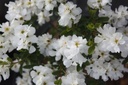 EXRNIAGA_20250417095515.JPG