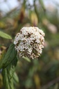 GLTSUNBU_20250417100321.JPG