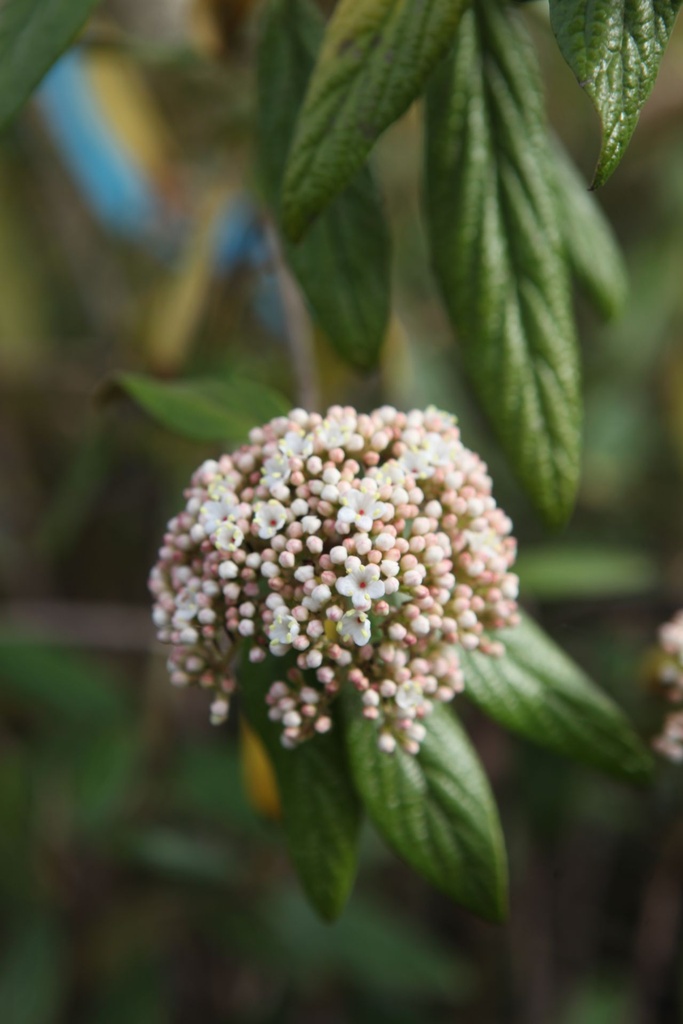 GLTSUNBU_20250417100323.JPG