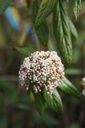 GLTSUNBU_20250417100323.JPG