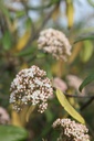 GLTSUNBU_20250417100333.JPG