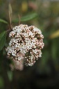 GLTSUNBU_20250417100341.JPG