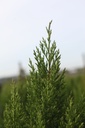 JUCSTRIC_20250417094140.JPG