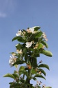 MARSENTI_20250417120337.JPG