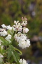 STCOLCHI_20250417100805.JPG