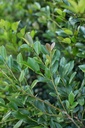 DILINEBA_20160523194257.jpg