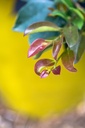DILINEBA_20160630210924.jpg
