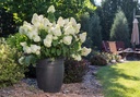 HYPLHOTT_20200716085639.jpg