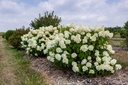 HYPLHOTT_20210806133230.jpg