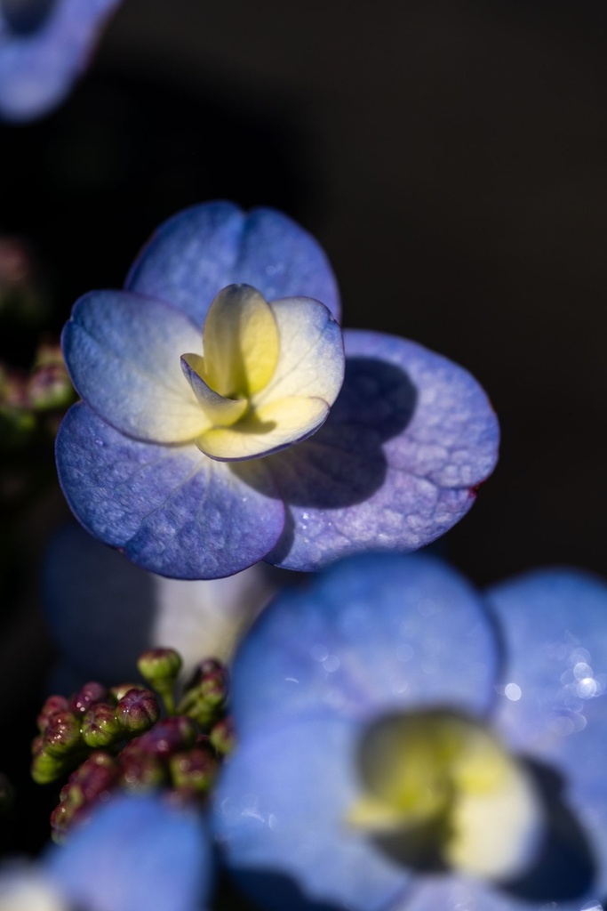 HYSSGLOW_20191122082337.jpeg