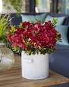 RHEAFIRE_20190509143546.jpg