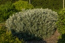 SACIALLE_20220627072553.jpg