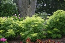 SARLLACE_20160712153958.jpg