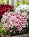 RHEASUNB_20190508160354.jpg