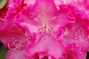 RHGERMAN_20090427103820.jpg