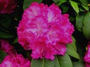 RHGERMAN_20250415082355.JPG