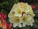 RHHMONAR_20040424111517