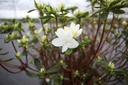 RHLUZI_20220401151959.JPG