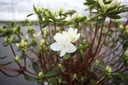 RHLUZI_20220401152007.JPG