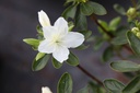 RHLUZI_20220401152111.JPG