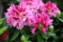 RHMHECKE_20220401110603.JPG